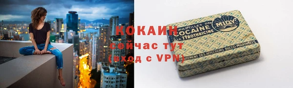 трава Аркадак