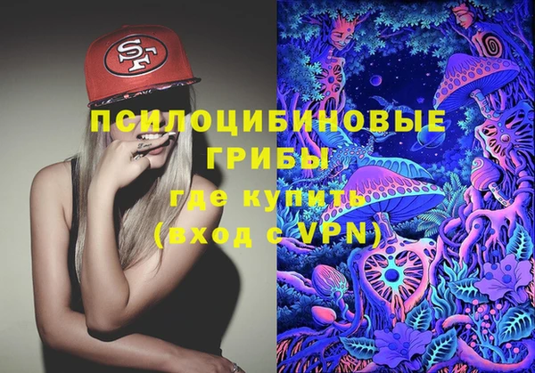 прущие крисы Арсеньев