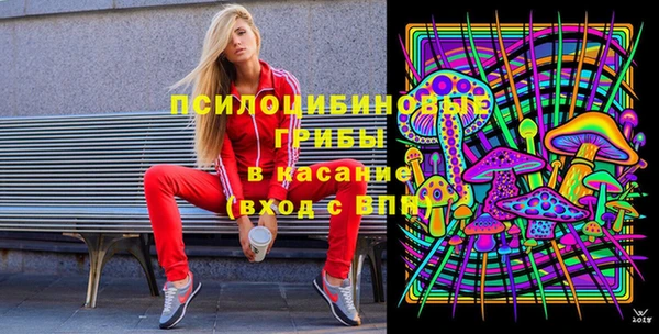 прущие крисы Арсеньев