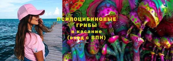 трава Аркадак