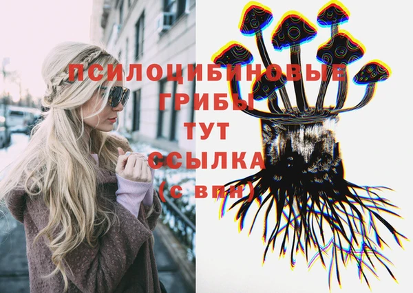 винт Армянск