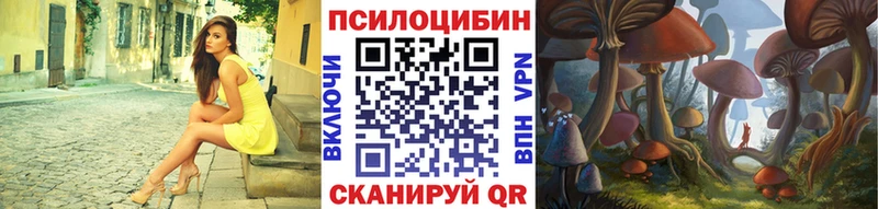 Псилоцибиновые грибы мицелий  Сурск 